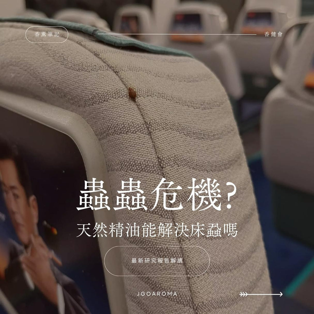 蟲蟲危機? 天然精油能解決床蝨嗎?