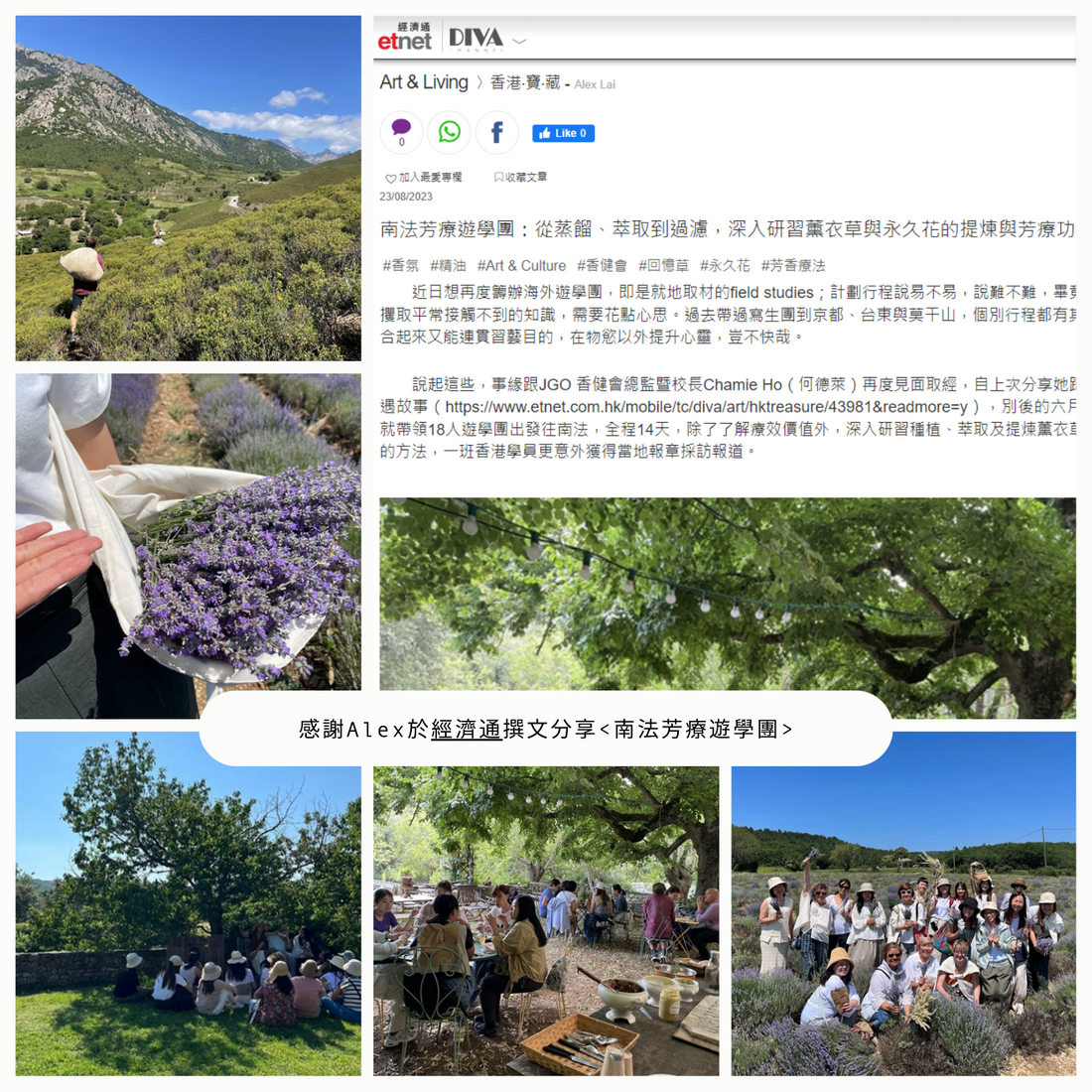 南法芳療遊學團:從蒸餾、萃取到過濾,深入研習薰衣草與永久花的提煉與芳療功效