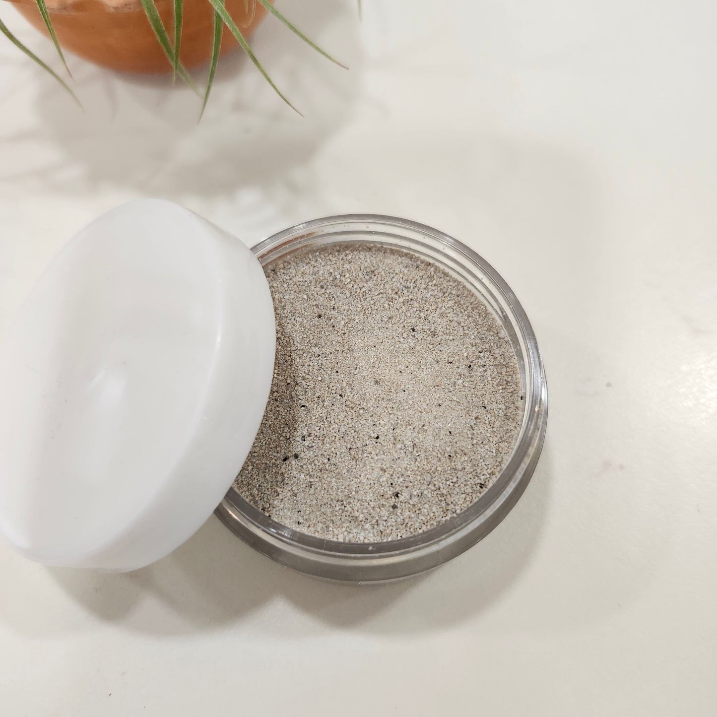 Pumice Stone 浮石磨沙(超幼)