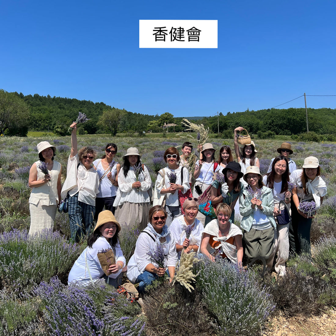 🌸 2026普羅旺斯與科西嘉島14天香薰修學之旅 🌻