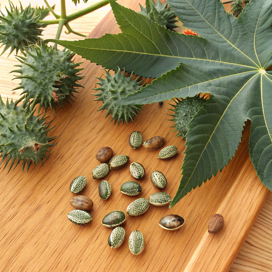 Castor Oil 蓖麻油