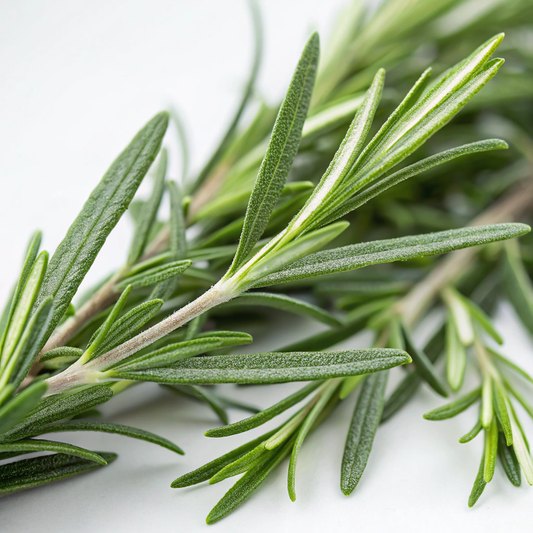 Rosemary ct. Cineole 桉油醇迷迭香